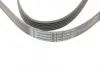 Ремінь генератора MB C-class (W202) 93-01/E-class (W124) 93-98/Ssangyong Korando 96-06/Dodge 06- CONTINENTAL Contitech 6PK2040 (фото 4)