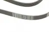 Ремень привода навесного оборудования CONTINENTAL Contitech 6PK2100 (фото 3)
