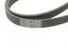 Ремень привода навесного оборудования CONTINENTAL Contitech 6PK2100 (фото 4)