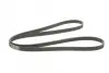Ремень привода навесного оборудования CONTINENTAL Contitech 6PK2100 (фото 5)