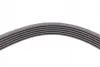 Ремінь генератора MB C-class (W203) 00-02/E-class (W212) 11-15/S-class (W221) 11-13/Sprinter 2.9 CONTINENTAL Contitech 6PK2135 (фото 4)