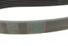 Ремінь генератора MB C-class (W202/W204)/E-class (W210/W212)/S-class (W221) 1.8/2.2 94-14 CONTINENTAL Contitech 6PK2155 (фото 3)