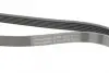 Пас поліклиновий MB Vito OM611 (+AC) CONTINENTAL Contitech 6PK2175 (фото 4)