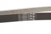 Ремінь генератора MB Sprinter CDI (-AC) CONTINENTAL Contitech 6PK2196 (фото 2)