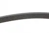 Ремінь генератора VW T4 2.5TDI/LT 2.3 96-06/MB C-class (W204) 3.5 11-/V-class (W639) 2.2CDI 10- CONTINENTAL Contitech 6PK2215 (фото 2)