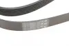 Ремінь генератора VW T4 2.5TDI/LT 2.3 96-06/MB C-class (W204) 3.5 11-/V-class (W639) 2.2CDI 10- CONTINENTAL Contitech 6PK2215 (фото 3)
