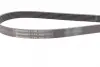 Ремінь генератора VW T4 2.5 90-03/Ford Fiesta/Mondeo 1.8/2.0 00-08/Jeep Cherokee 3.7 01-08 CONTINENTAL Contitech 6PK2225 (фото 2)