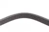 Ремінь генератора VW T4 2.5 90-03/Ford Fiesta/Mondeo 1.8/2.0 00-08/Jeep Cherokee 3.7 01-08 CONTINENTAL Contitech 6PK2225 (фото 3)