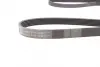 Ремінь генератора VW T4 2.4D/2.5/2.5TDI 90-03/Lexus GX 470 01-09 CONTINENTAL Contitech 6PK2236 (фото 2)