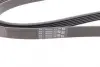 Ремень привода навесного оборудования Contitech 6PK2241 (фото 3)