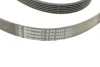 Ремень привода навесного оборудования Contitech 6PK2245 (фото 3)