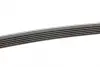 Ремінь генератора Mazda 6 2.3 02-07/CX-7 2.5MZR 09-13/Jaguar XF/XJ 3.0D 09-/Saab 900 II 2.5 93-98 CONTINENTAL Contitech 6PK2310 (фото 2)