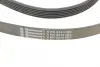 Ремінь генератора Mazda 6 2.3 02-07/CX-7 2.5MZR 09-13/Jaguar XF/XJ 3.0D 09-/Saab 900 II 2.5 93-98 CONTINENTAL Contitech 6PK2310 (фото 3)