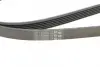 Ремінь генератора Mazda 6 2.3 02-07/CX-7 2.5MZR 09-13/Jaguar XF/XJ 3.0D 09-/Saab 900 II 2.5 93-98 CONTINENTAL Contitech 6PK2310 (фото 4)