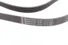 Ремінь генератора MB W202/210 M112/113 97- (WP,PS) CONTINENTAL Contitech 6PK2315 (фото 2)