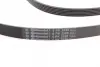 Ремінь генератора MB S-class (W221/W222)/E-class (W212) 4.7-5.5 11-17/Porsche Macan 3.0-3.6 14- CONTINENTAL Contitech 6PK2528 (фото 2)