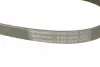 Ремінь Contitech 6PK2535 (фото 4)