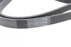 Ремінь генератора Mitsubishi Lancer 1.8 08-/Outlander 2.0-2.4 06- CONTINENTAL Contitech 6PK2563 (фото 3)