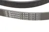 Ремінь генератора VW Amarok/Kia Sorento/Fiat Freemont 2.0/2.4/2.4 CVVT/3.0TDI 09- CONTINENTAL Contitech 6PK2575 (фото 4)