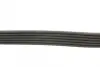 Ремінь генератора поліклиновий CONTINENTAL Contitech 6PK691 ELAST (фото 2)