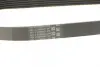 Ремінь генератора поліклиновий CONTINENTAL Contitech 6PK691 ELAST (фото 3)