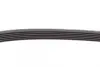 Ремінь генератора VW Caddy III 1.4/1.6 04-/Golf/Polo 1.2/1.4TSI 12-/Audi A3 1.2/1.4TFSI 13- CONTINENTAL Contitech 6PK737 (фото 3)