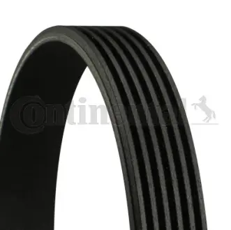 Ремінь поліклиновий 6 PK 794 ELAST Contitech 6PK794ELAST
