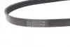 Ремінь генератора VW Golf VI/Caddy III 1.6-2.0 TDI 10-/Skoda Octavia 09-13/Audi A3 1.6/2.0TDI 03-13 CONTINENTAL Contitech 6PK842 ELAST (фото 2)