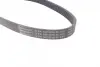 Ремінь генератора VW Golf VI/Caddy III 1.6-2.0 TDI 10-/Skoda Octavia 09-13/Audi A3 1.6/2.0TDI 03-13 CONTINENTAL Contitech 6PK842 ELAST (фото 3)