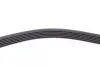 Ремінь генератора VW Golf VI/Caddy III 1.6-2.0 TDI 10-/Skoda Octavia 09-13/Audi A3 1.6/2.0TDI 03-13 CONTINENTAL Contitech 6PK842 ELAST (фото 4)