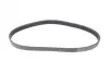 Ремінь генератора VW Golf VI/Caddy III 1.6-2.0 TDI 10-/Skoda Octavia 09-13/Audi A3 1.6/2.0TDI 03-13 CONTINENTAL Contitech 6PK842 ELAST (фото 5)