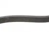 Ремінь генератора Citroen C1/Peugeot 107/Toyota Aygo 1.0 i 05-14 CONTINENTAL Contitech 6PK850 (фото 2)