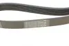 Ремінь генератора Citroen C1/Peugeot 107/Toyota Aygo 1.0 i 05-14 CONTINENTAL Contitech 6PK850 (фото 3)