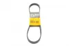 Ремінь генератора Citroen C4/C5 14-/Renault Kangoo/Clio 1.9D 97-/VW Passat B3/B4 88-97/Sharan 95-10 CONTINENTAL Contitech 6PK894 (фото 1)