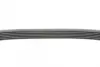 Ремінь генератора Citroen C4/C5 14-/Renault Kangoo/Clio 1.9D 97-/VW Passat B3/B4 88-97/Sharan 95-10 CONTINENTAL Contitech 6PK894 (фото 2)