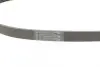 Ремінь генератора Citroen C4/C5 14-/Renault Kangoo/Clio 1.9D 97-/VW Passat B3/B4 88-97/Sharan 95-10 CONTINENTAL Contitech 6PK894 (фото 3)
