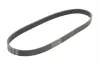 Ремінь генератора Citroen C4/C5 14-/Renault Kangoo/Clio 1.9D 97-/VW Passat B3/B4 88-97/Sharan 95-10 CONTINENTAL Contitech 6PK894 (фото 5)