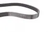 Ремінь генератора VW Caddy/Golf/Skoda Octavia 1.6/2.0 04-15/Fiat Ducato 2.5TDI 94-02/Scudo 1.6 96-06 CONTINENTAL Contitech 6PK900 (фото 2)
