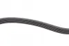 Ремінь генератора VW Caddy/Golf/Skoda Octavia 1.6/2.0 04-15/Fiat Ducato 2.5TDI 94-02/Scudo 1.6 96-06 CONTINENTAL Contitech 6PK900 (фото 3)