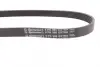 Ремінь генератора Citroen Berlingo/Peugeot Partner 1.6VTi 09- CONTINENTAL Contitech 6PK905 EXTRA (фото 2)
