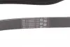 Ремінь генератора VW T4/Caddy 1.9D/TD 90-03/Toyota Corolla/Auris 1.4D 06-14/Kia Rio 1.25 17- CONTINENTAL Contitech 6PK923 (фото 3)