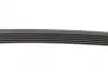 Ремінь генератора Mazda 6 2.5 13-/Toyota Corolla 1.4 D 04-14 CONTINENTAL Contitech 6PK970 (фото 3)