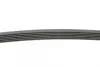 Ремінь генератора Peugeot Partner/307/508 02-/Citroen Berlingo/C2/C3/C4/C5 1.6 HDi 04- CONTINENTAL Contitech 6PK976 (фото 2)