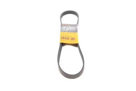 Ремінь генератора VW Polo/Up 11-/Skoda Fabia 14-/Seat Ibiza 1.0/1.6 15- CONTINENTAL Contitech 6PK989 ELAST