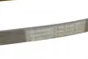 Ремінь генератора Renault Megane/Scenic 1.9dCi/2.0 03-/Nissan Juke 1.6 10- CONTINENTAL Contitech 7PK1125 (фото 4)