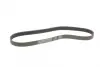 Ремінь генератора Renault Megane/Scenic 1.9dCi/2.0 03-/Nissan Juke 1.6 10- CONTINENTAL Contitech 7PK1125 (фото 5)