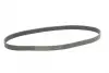 Ремінь генератора Renault Master/Opel Movano 2.2/2.5DCI 01-/Nissan Micra/Note/Tiida 1.6 05- CONTINENTAL Contitech 7PK1145 (фото 4)