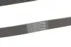 Ремінь Contitech 7PK1153 (фото 3)
