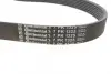 Ремінь генератора Iveco 2.3JTD/Renault Trafic III 1.6dCi 14- ALT, (-AC) CONTINENTAL Contitech 7PK1325 (фото 2)