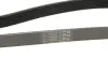 Ремінь генератора Renault Kangoo/Megane III/Scenic III 1.2TCe 12- CONTINENTAL Contitech 7PK1440 (фото 4)